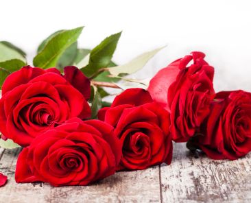 Depositphotos_84969066_S